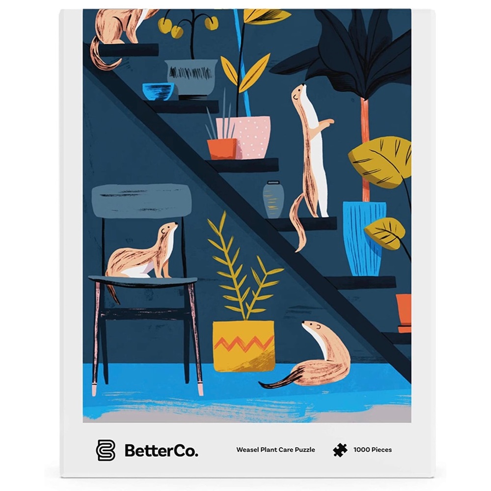 1000 Piece Jigsaw Puzzle 🧩